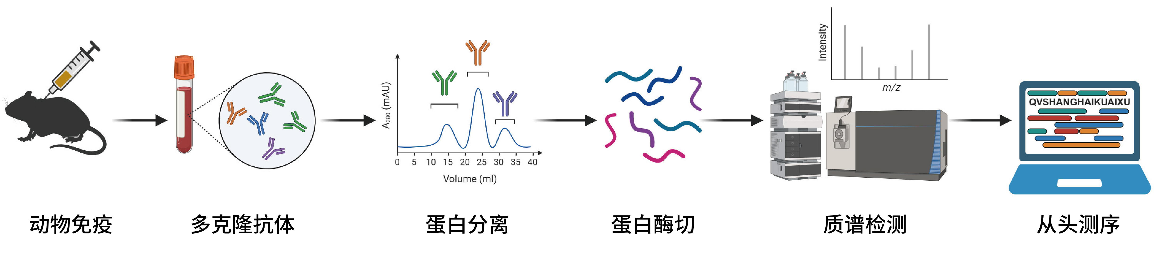 技术流程